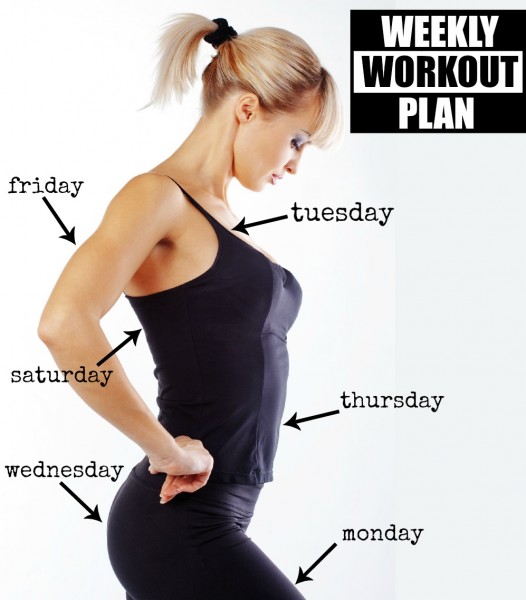 weekly-workout-plan-total-body-tune-up