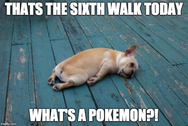 Pokemon Go Dog Tired From Walking
