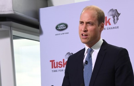 Prince William Declining Elephant Numbers