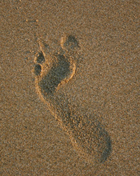 Tobago Footprint in sand