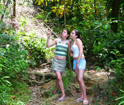Tobago Rainforest Girls