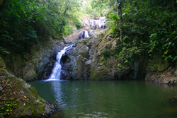 Argyle Falls - Tobago Waterfalls