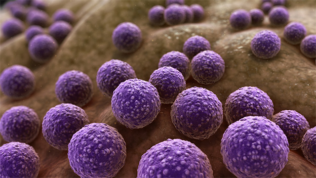 drug resistant bacteria antibiotic resistance